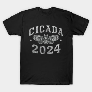 Cicada Invasion 2024 Insect Bug Cicada Brood XIX Brood XIII T-Shirt